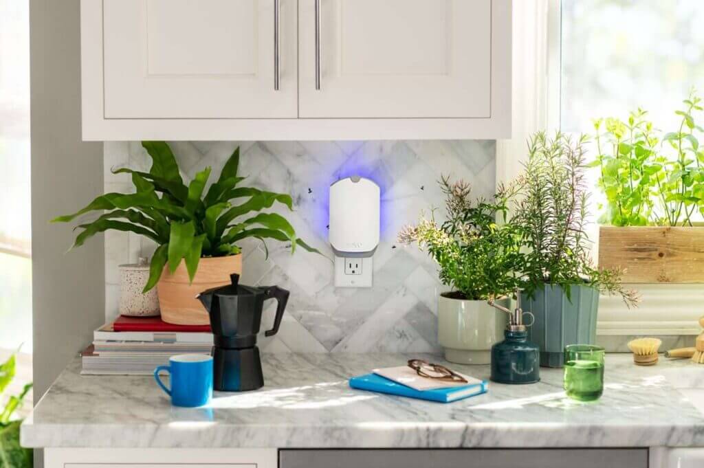 Spring cleaning helps keep kitchen bugs out