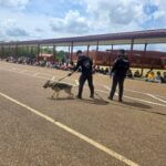 Southaven K9 Dagger returns to service after recovery Southaven K9 Dagger returns to service after recovery