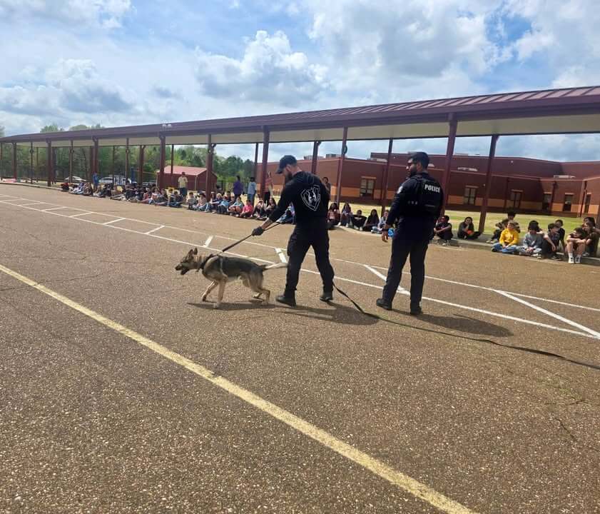 Southaven K9 Dagger returns to service after recovery
