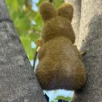 Cottontails go as Vicksburg Youth Services launches family movie night Cottontails go as Vicksburg Youth Services launches family movie night