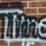 Two face charges after vandalism at Pearl City Park Two face charges after vandalism at Pearl City Park