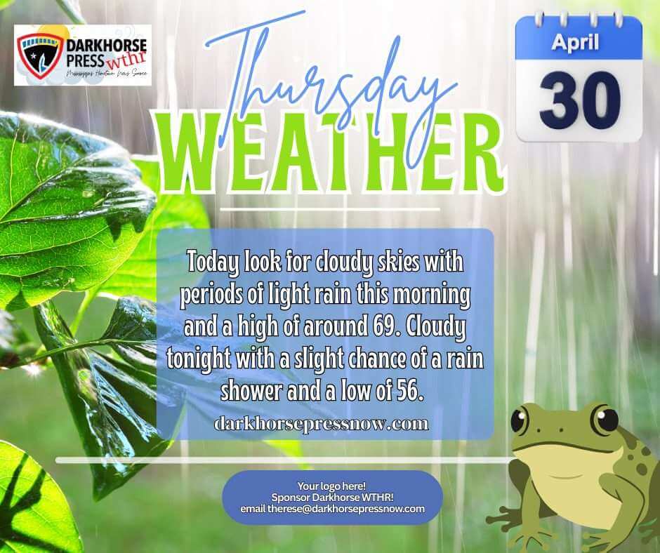 Cloudy, cool conditions continue; light rain possible