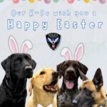 Oxford police, K-9s wish public safe Easter Oxford police, K-9s wish public safe Easter