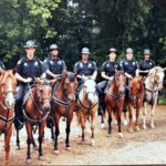 JPD posts Throwback Thursday message, invites community reaction JPD posts Throwback Thursday message, invites community reaction