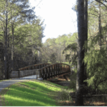 NPS releases report on Ridgeland firing range, opens public comment NPS releases report on Ridgeland firing range, opens public comment