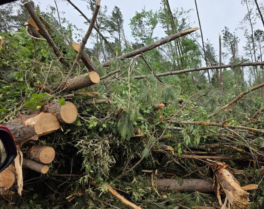 Mississippi urges storm victims to document damage, file claims quickly