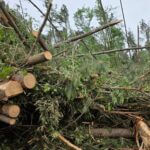 Mississippi urges storm victims to document damage, file claims quickly Mississippi urges storm victims to document damage, file claims quickly