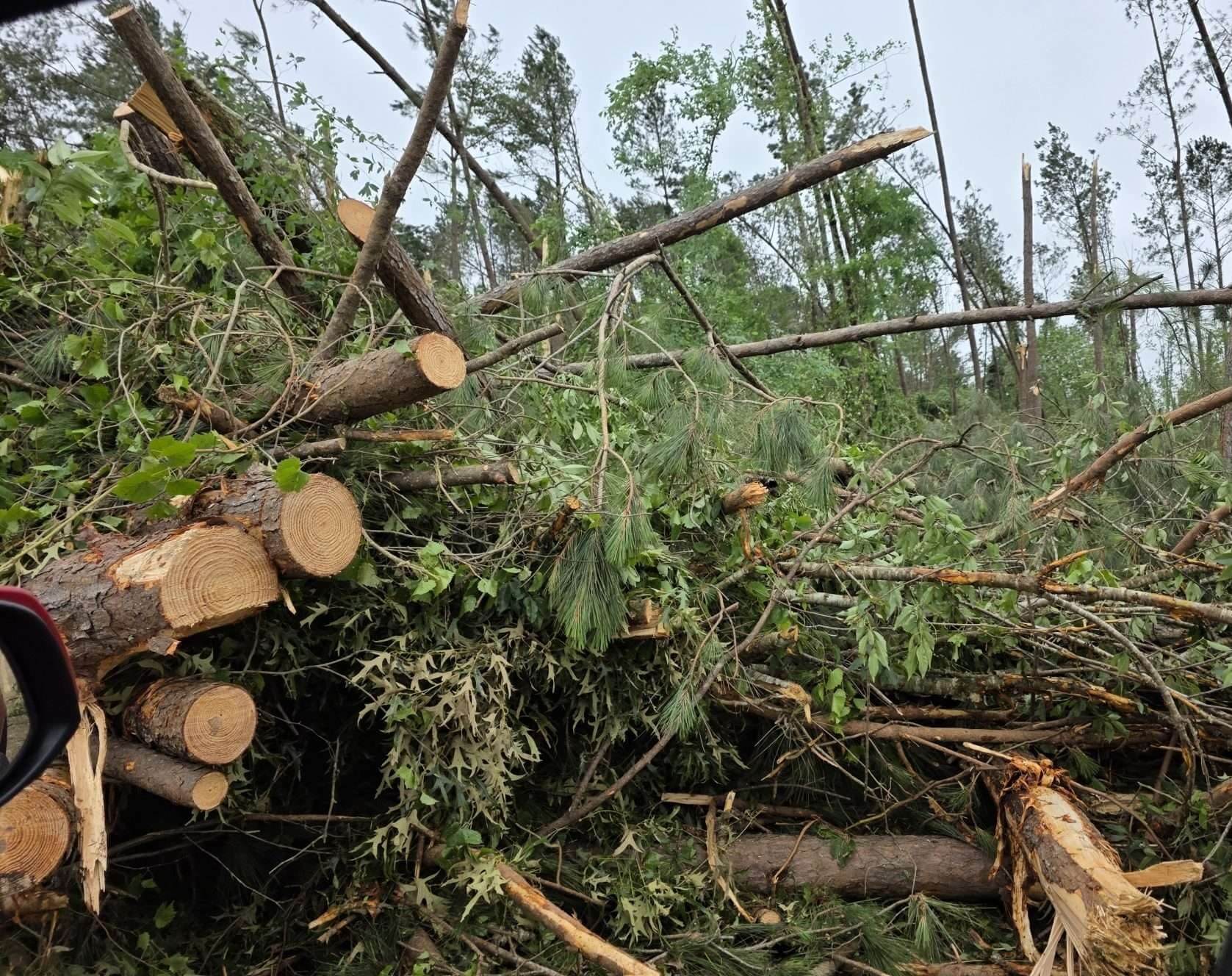 Mississippi urges storm victims to document damage, file claims quickly ...