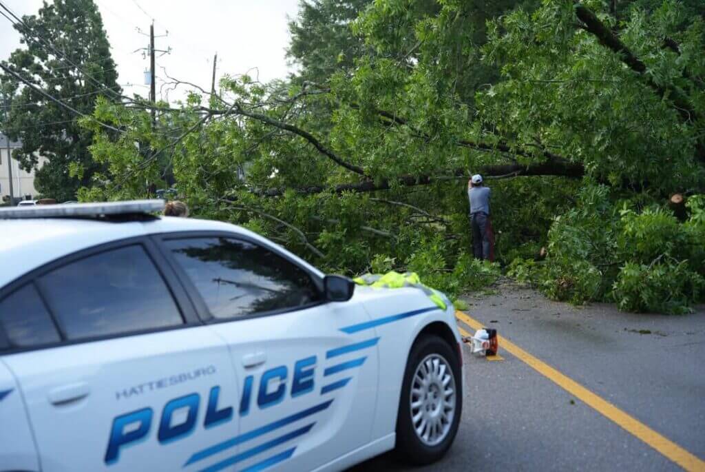Crews clear downed tree on South 28th Avenue, traffic resumes