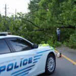 Crews clear downed tree on South 28th Avenue, traffic resumes Crews clear downed tree on South 28th Avenue, traffic resumes