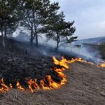 MDWFP opens applications for Fire on the Forty prescribed burn program MDWFP opens applications for Fire on the Forty prescribed burn program