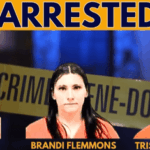 Three charged after wire theft report triggers pursuit in Greenville Three charged after wire theft report triggers pursuit in Greenville