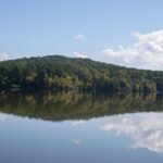 Tippah County Lake reopens for fishing, boating after storm cleanup Tippah County Lake reopens for fishing, boating after storm cleanup