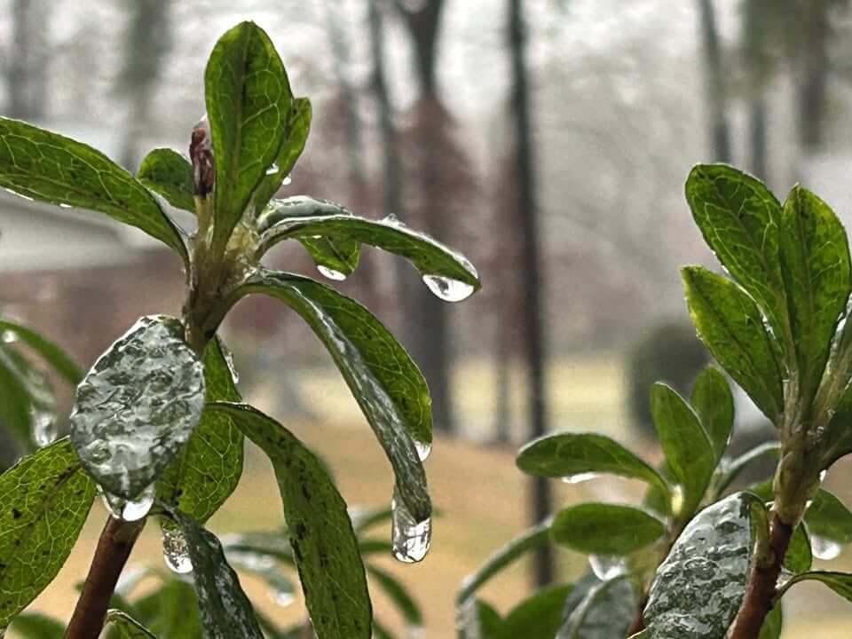 More than 84,000 Mississippians apply for Winter Storm Fern assistance