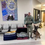 Rankin County Sheriff's Office mourns K-9 Deputy Fox Rankin County Sheriff's Office mourns K-9 Deputy Fox