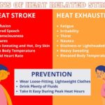 Mississippi agency urges precautions, lists Greenwood cooling centers Mississippi agency urges precautions, lists Greenwood cooling centers
