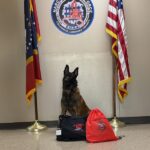 Lowndes County Sheriff receives grant-funded K-9 medical kit Lowndes County Sheriff receives grant-funded K-9 medical kit