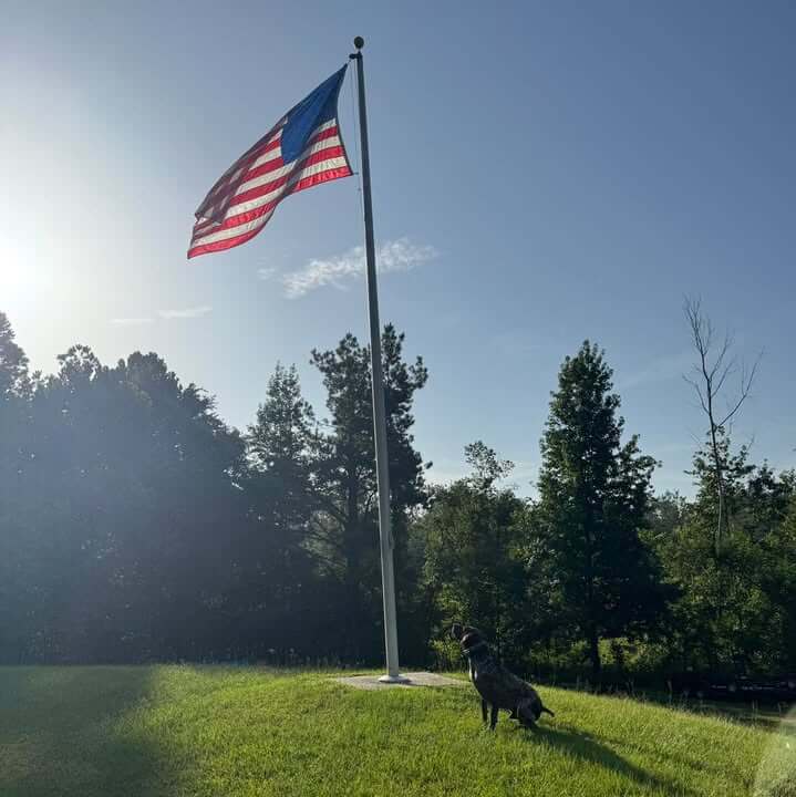 K-9 Elko displays patriotism in morning Facebook post