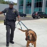 Mississippi Highway Patrol posts true walkout songs after prank reel Mississippi Highway Patrol posts true walkout songs after prank reel