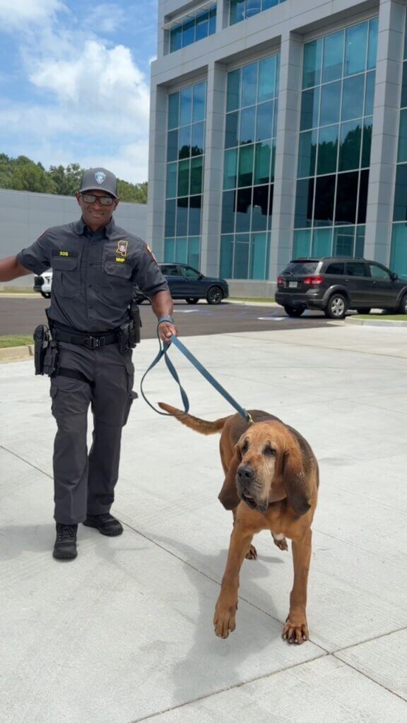 Mississippi Highway Patrol posts true walkout songs after prank reel