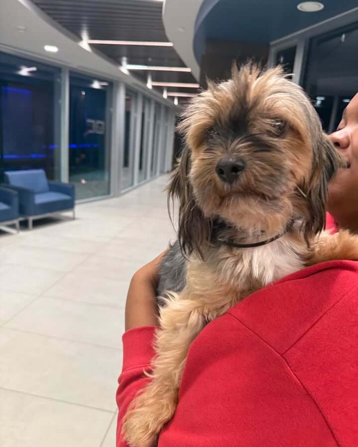 Oxford police take in found dog near Links Apartments