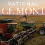 Mississippi agriculture agency marks National Rice Month 10575081ab29cb7f1dc8190a