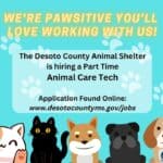 DeSoto County Animal Shelter seeks part-time animal care technician 1379875c0481898664de63e3