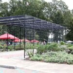 North Mississippi Hummingbird Festival set for weekend at Snowden Grove 2507055e55d8c19ef6c20bd3