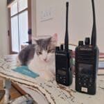New Albany Fire/Rescue Says Everyone Must Monitor the Radio 59b65eaee92dfb47e594d0b8