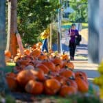 St. Peter’s Pumpkin Patch opens in Oxford 607f86e2460a9f2b59a78c7a