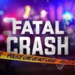 Jackson police investigate fatal hit-and-run involving pedestrian 7ed8962ced9b01e7f8752f3d