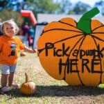 Pumpkin Adventure returning to Mississippi Agriculture and Forestry Museum a45326aab9fc44fd7df30bb2