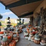 Washington County Economic Alliance promotes autumn stop at Chamber Business of the Year ad974718e83764c4e3017768