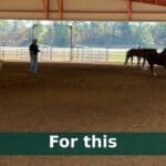 Horses arrive at Agri-Ed Center for Cotton Bowl Paint-O-Rama cc6fc1a5abdc191a85f13ef0