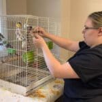 Baldwyn senior explores veterinary career through animal-care shadowing d743c9a2d6387e32d968d84c