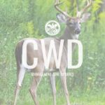 MDWFP outlines 2026-2027 CWD management zones for Mississippi hunters dc4bf6e0268ed468b6015b64