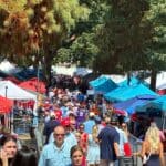 The Grove is packed as Ole Miss fans celebrate early df755095fb365b4e1cabf53b