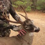 MDWFP outlines factors for choosing management bucks e51ee2f7472d83d4ece271ce