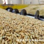 Mississippi rice harvest highlighted as National Rice Month ends ff072731f3bfdbfbd0cdfb95