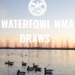 Applications open for 2026 Mississippi waterfowl WMA draw hunts a17d1524c2d35b506d59d3e1
