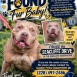 Dog found wandering in Gautier is back home with family d4fa2b2d4bb1f442a4197465
