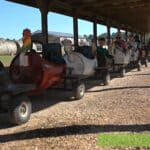 October recognized as Agritourism Month in Mississippi de6b485c95fb31164d305a40