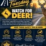 Lafayette County sheriff offers fall deer-safety tips for drivers e97283e1bbcb6299b5651c52