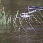 How Mississippi’s Bob Tyler Fish Hatchery prepares fish for stocking fa9b526ea5c0e2c8b1605c2b
